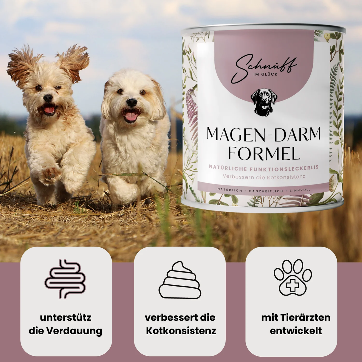 Magen-Darm-Formel Premium- Leckerlis für die Verdauung