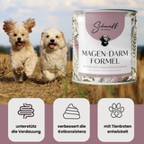 Magen-Darm-Formel Premium- Leckerlis für die Verdauung
