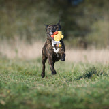 Laboni Hundespielzeug Emma Ente - Kult Spielzeug für Hunde