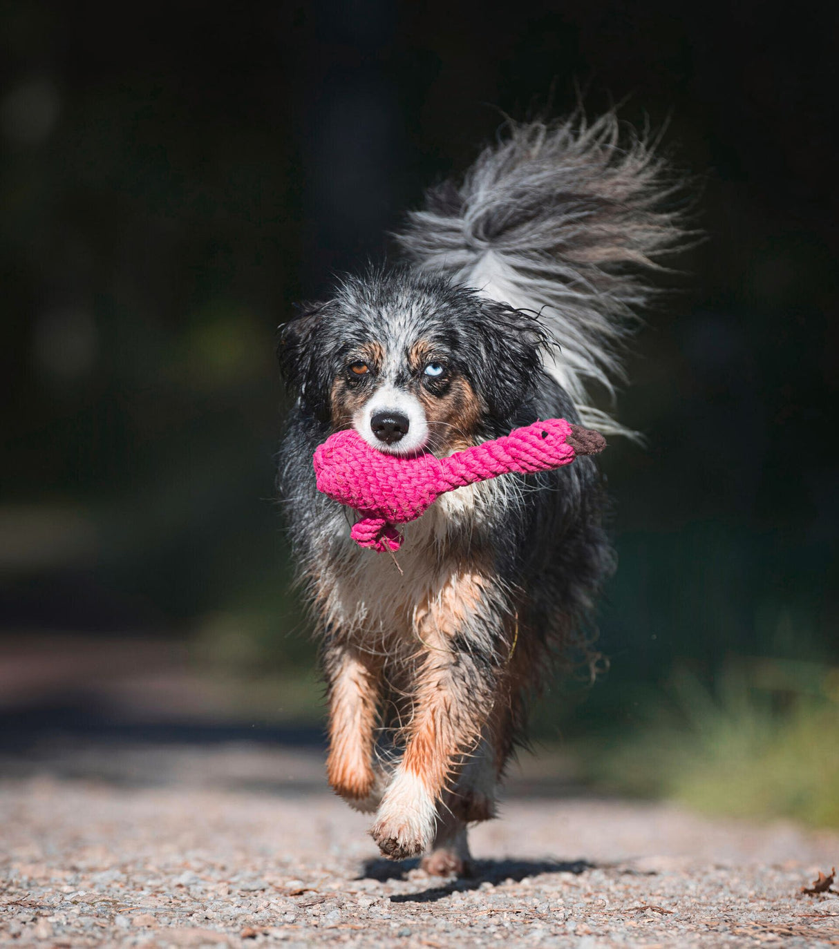 Laboni Hundespielzeug Franzi Flamingo - Kult Spielzeug für Hunde