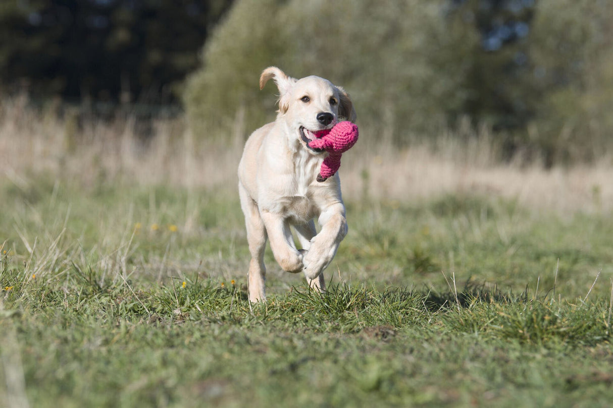 Laboni Hundespielzeug Franzi Flamingo - Kult Spielzeug für Hunde