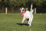 Laboni Hundespielzeug Franzi Flamingo - Kult Spielzeug für Hunde