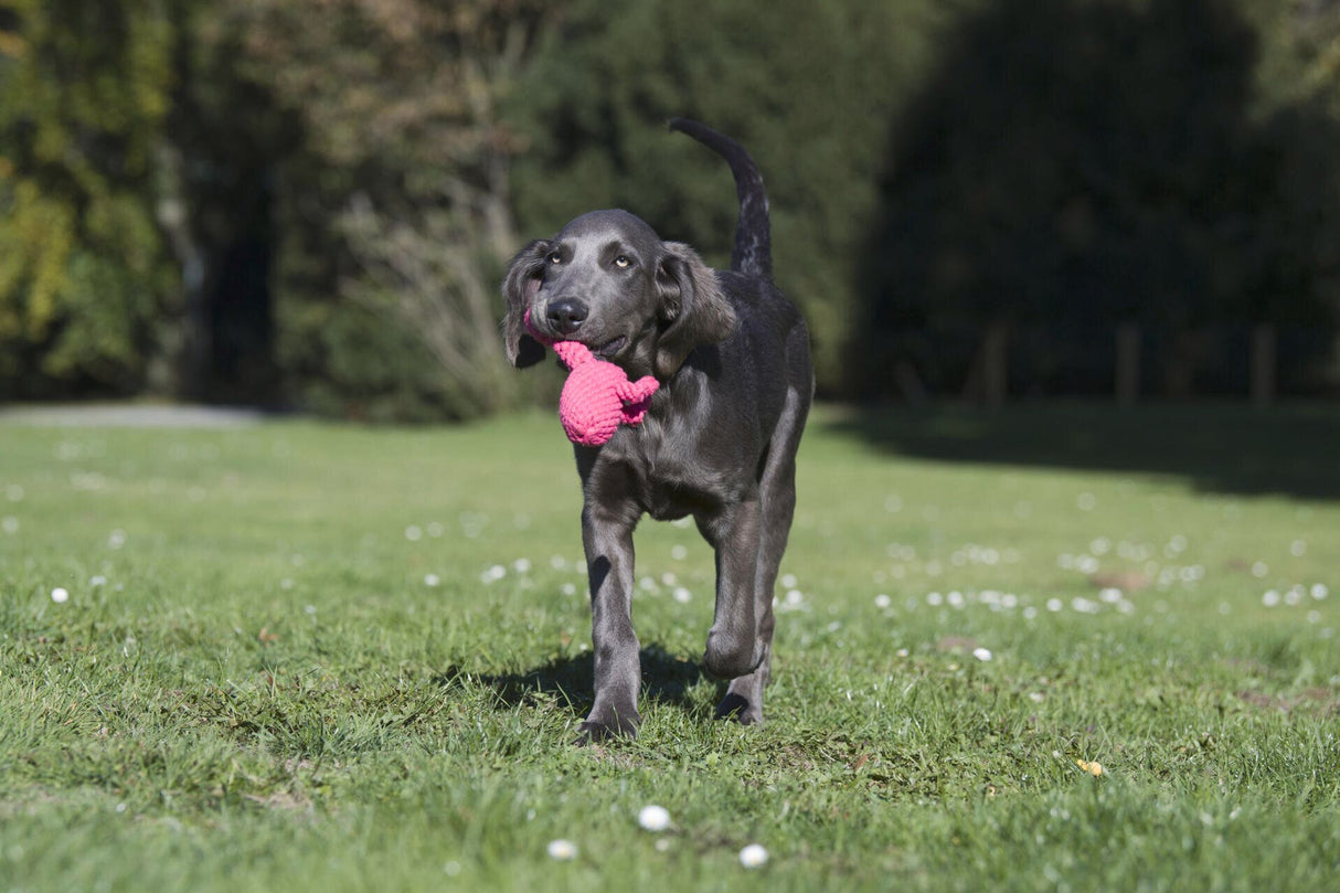 Laboni Hundespielzeug Franzi Flamingo - Kult Spielzeug für Hunde