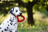 Laboni Hundespielzeug Herz Hertha Heart