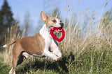 Laboni Hundespielzeug Herz Hertha Heart