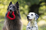 Laboni Hundespielzeug Herz Hertha Heart
