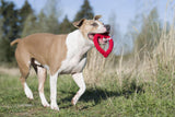 Laboni Hundespielzeug Herz Hertha Heart
