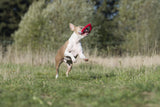 Laboni Hundespielzeug Herz Hertha Heart