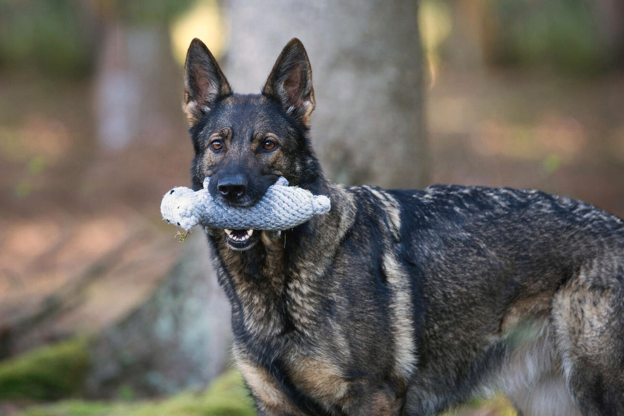 Laboni Hundespielzeug Nina Nilpferd - Kult Spielzeug für Hunde