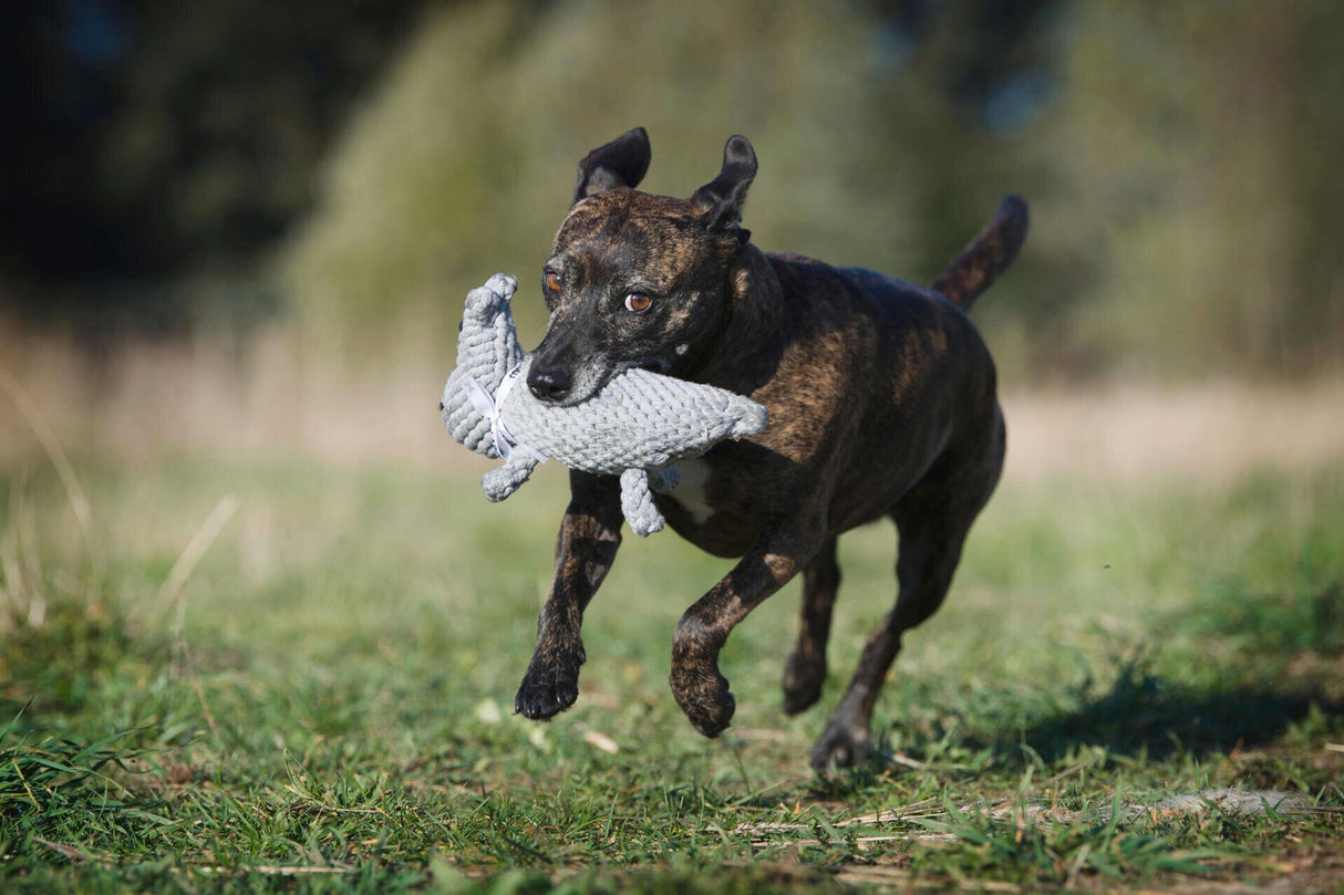 Laboni Hundespielzeug Nina Nilpferd - Kult Spielzeug für Hunde