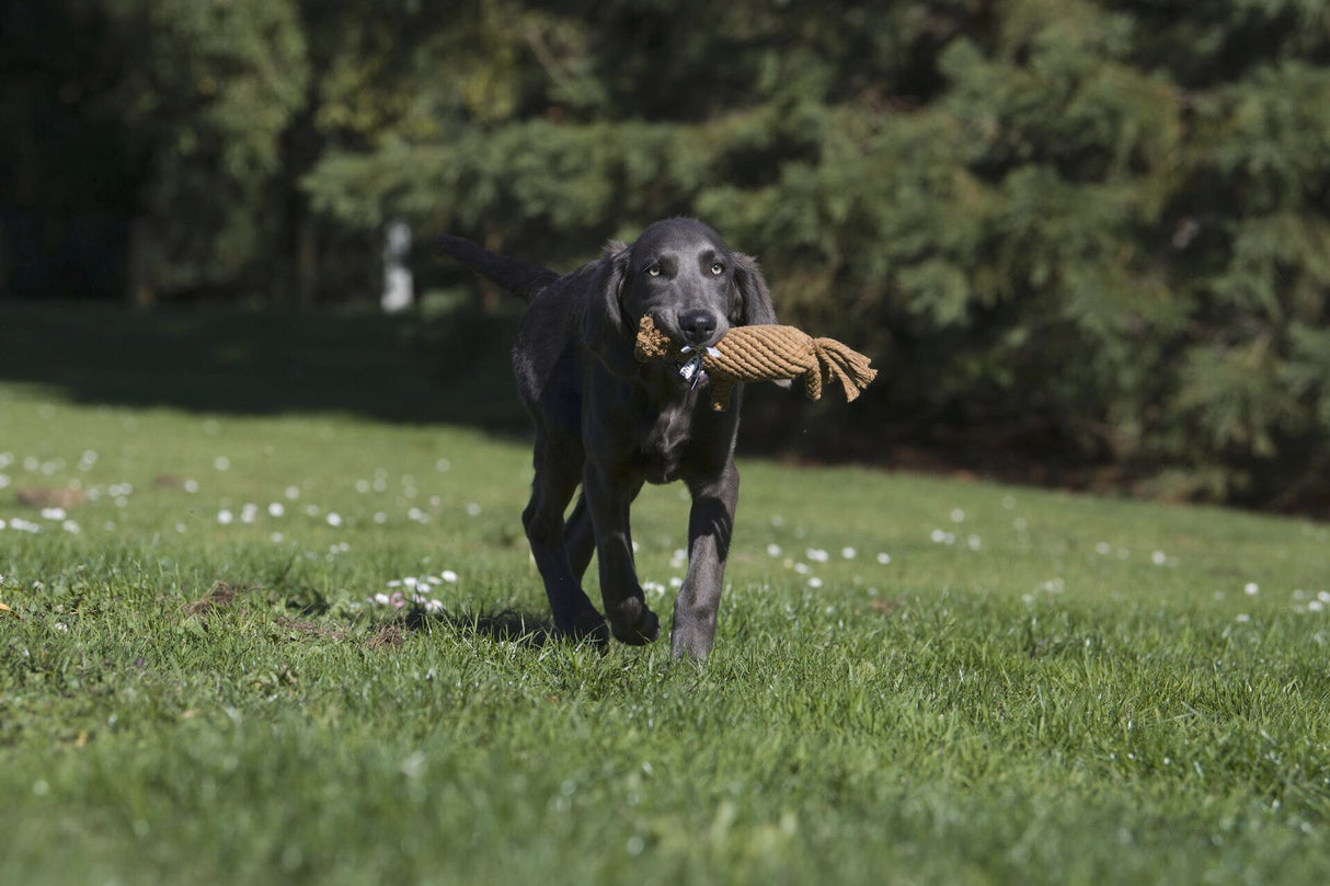 Laboni Hundespielzeug Franz Pferdinand - Kult Spielzeug für Hunde