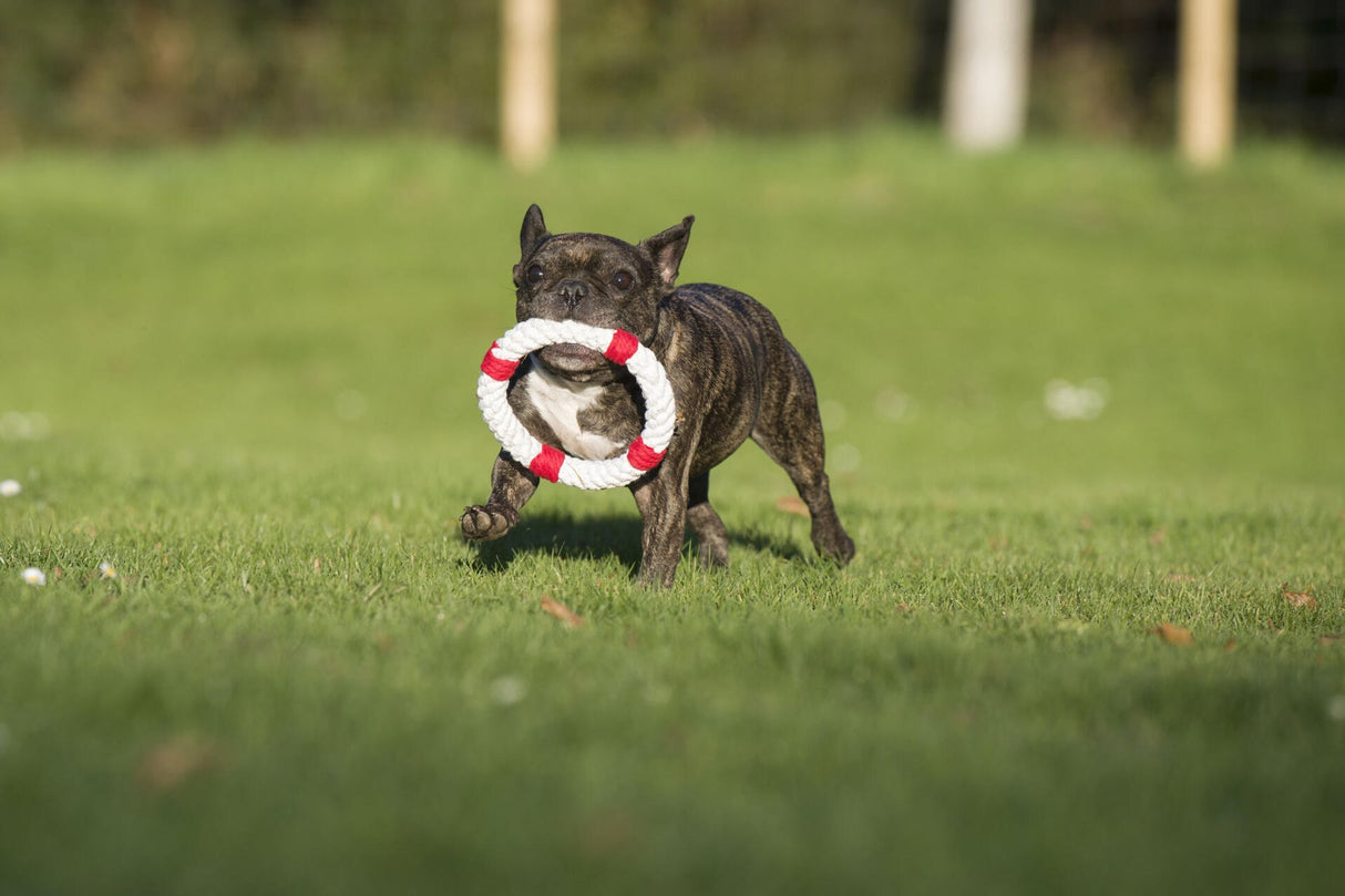 Laboni Hundespielzeug Rita Rettungsring - Kult Spielzeug für Hunde