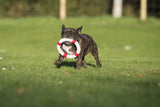 Laboni Hundespielzeug Rita Rettungsring - Kult Spielzeug für Hunde