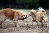 Laboni Hundespielzeug Rita Rettungsring - Kult Spielzeug für Hunde