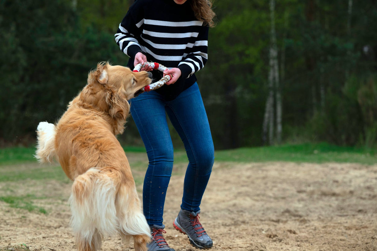 Laboni Hundespielzeug Rita Rettungsring - Kult Spielzeug für Hunde