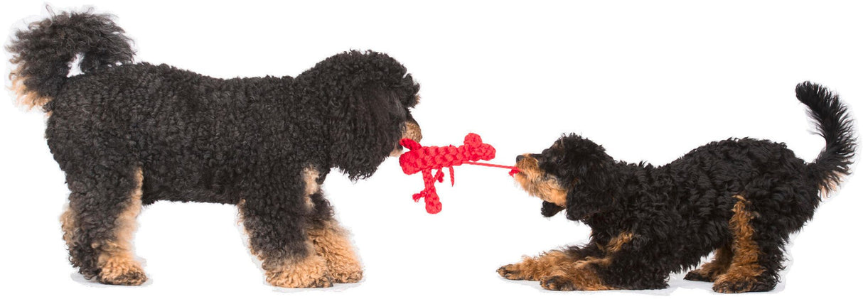 Laboni Hundespielzeug Hugo Hummer - Kult Spielzeug für Hunde