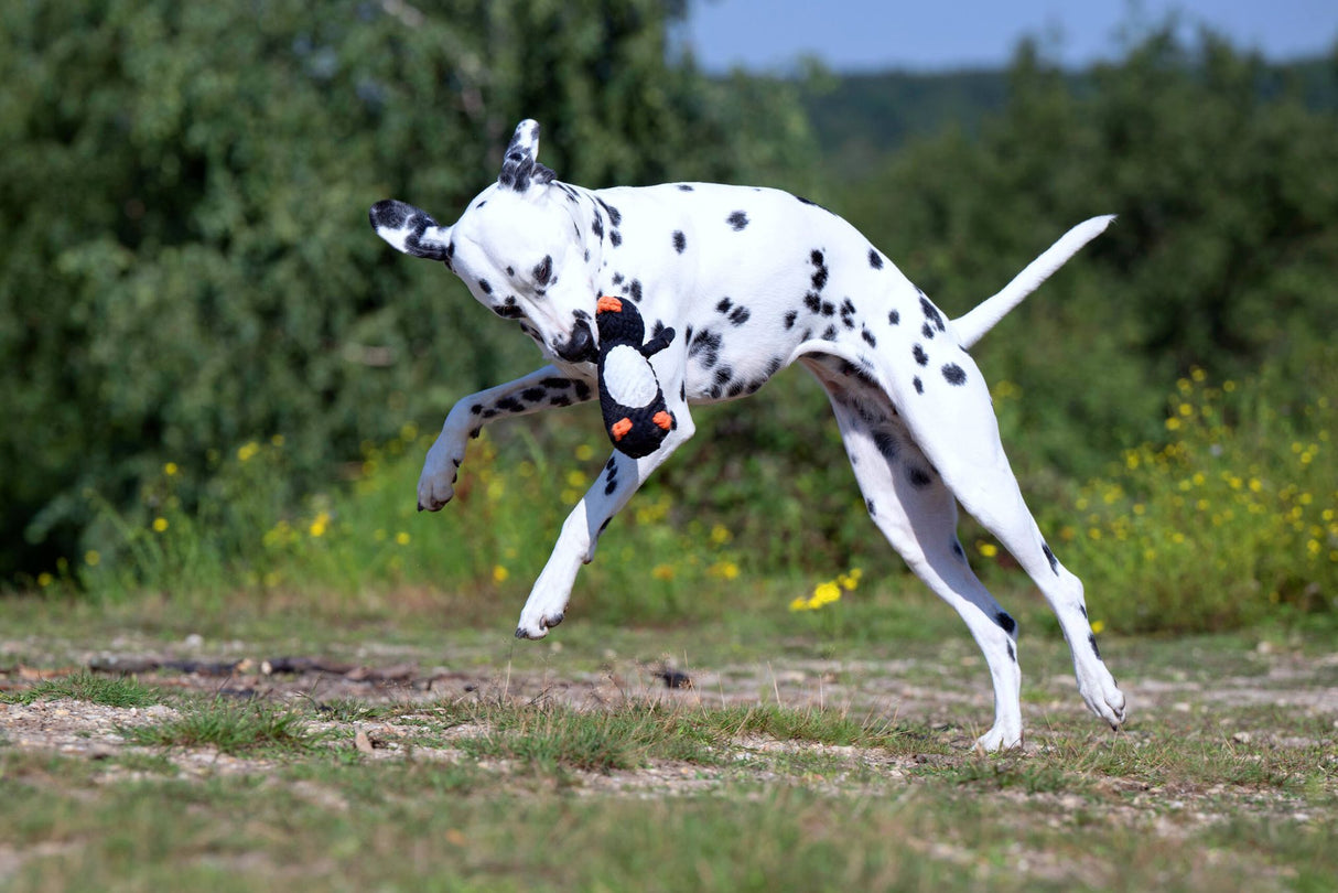 Laboni Hundespielzeug Poldi Pinguin - Kult Spielzeug für Hunde