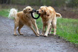 Laboni Hundespielzeug Ringo Ring - Kult Spielzeug für Hunde