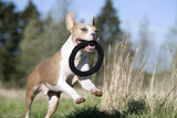 Laboni Hundespielzeug Ringo Ring - Kult Spielzeug für Hunde