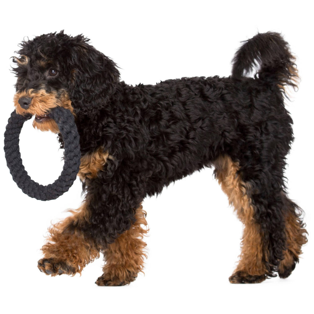 Laboni Hundespielzeug Ringo Ring - Kult Spielzeug für Hunde