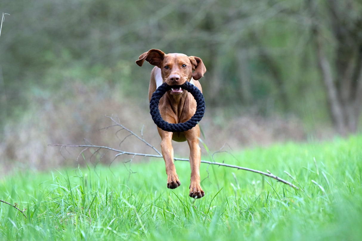 Laboni Hundespielzeug Ringo Ring - Kult Spielzeug für Hunde