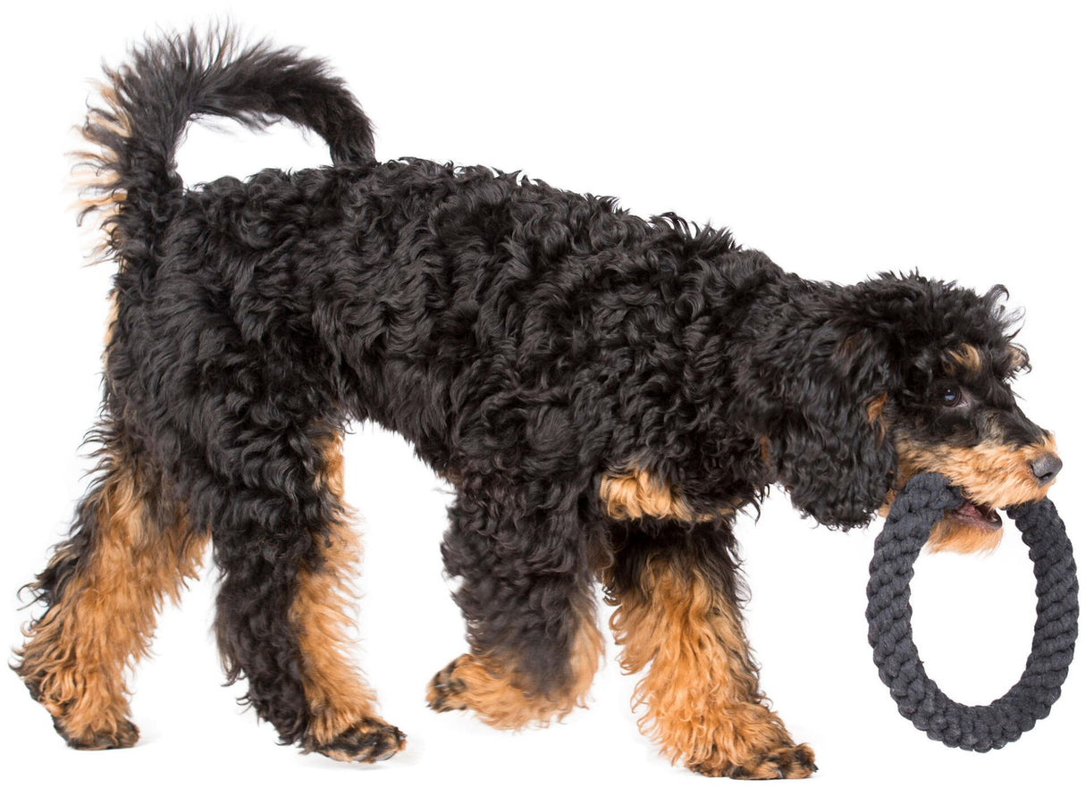 Laboni Hundespielzeug Ringo Ring - Kult Spielzeug für Hunde