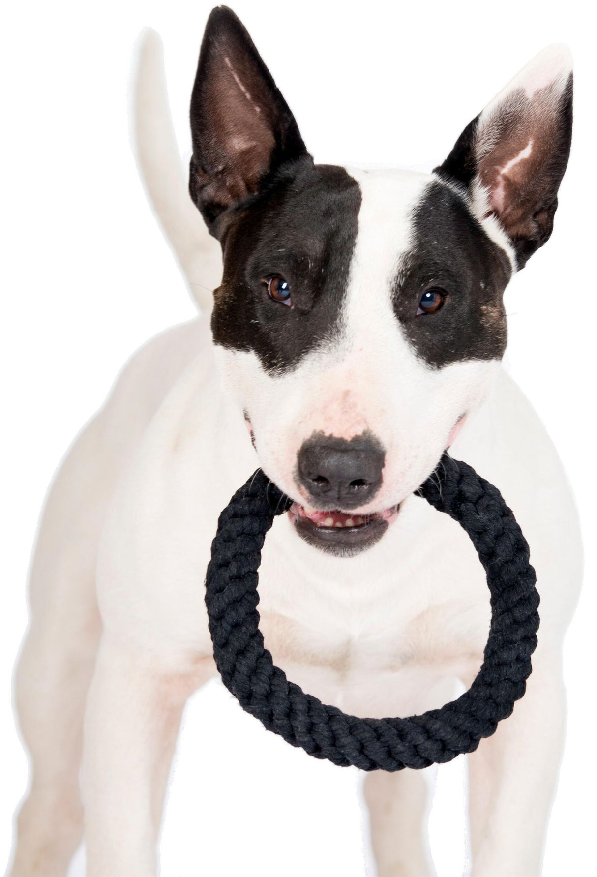 Laboni Hundespielzeug Ringo Ring - Kult Spielzeug für Hunde