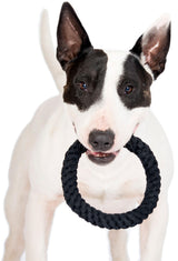 Laboni Hundespielzeug Ringo Ring - Kult Spielzeug für Hunde
