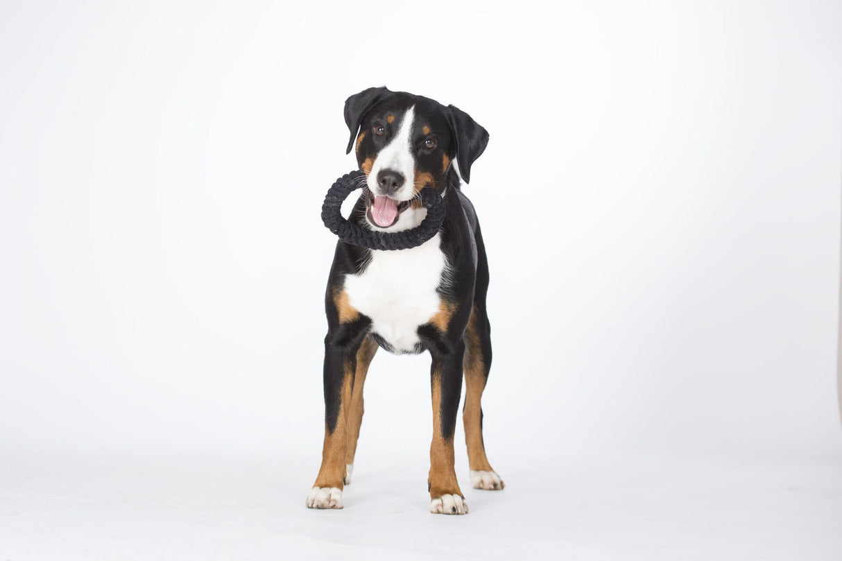 Laboni Hundespielzeug Ringo Ring - Kult Spielzeug für Hunde
