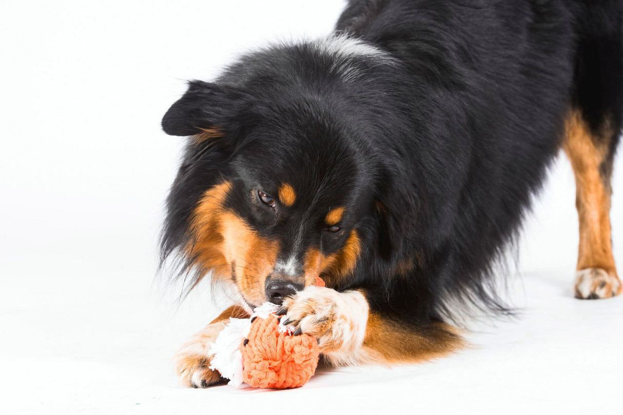 Laboni Hundespielzeug Timothy Tiger - Kult Spielzeug für Hunde