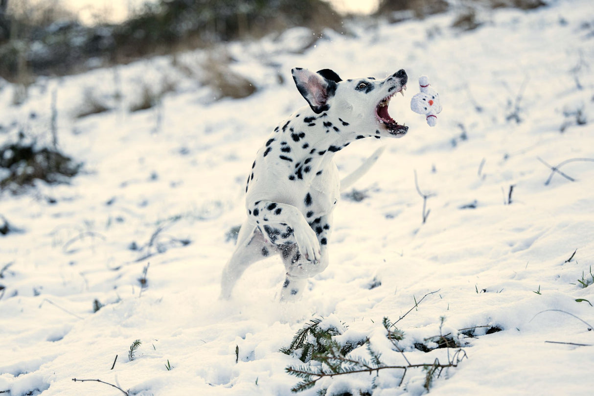 Laboni Hundespielzeug Shawn der Schneemann - Kult Spielzeug für Hunde