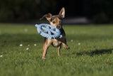 Laboni Hundespielzeug Ahoy - Spielzeug-Set für Hunde
