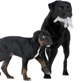 Laboni Hundespielzeug Summer Safari - Spielzeug-Set für Hunde