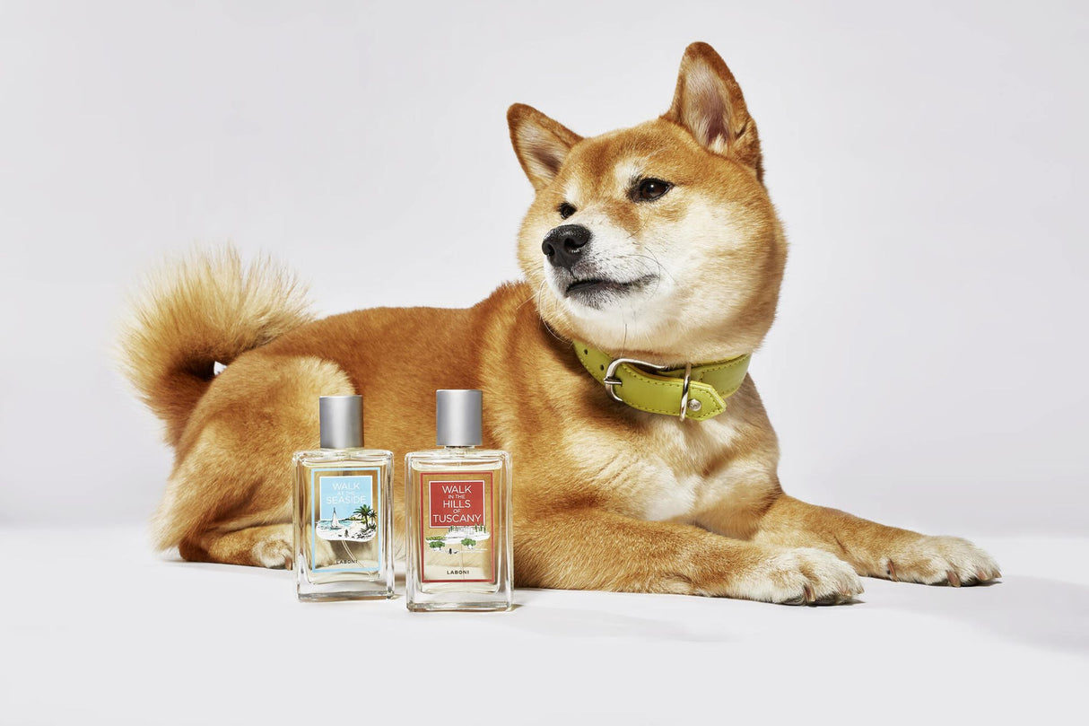 LABONI FRAGRANCE  - Edles Raumduft-Set zum Probierpreis