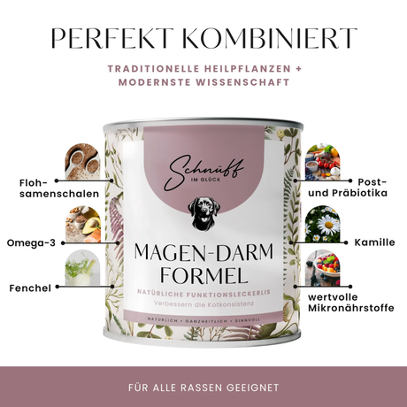 Magen-Darm-Formel Premium- Leckerlis für die Verdauung