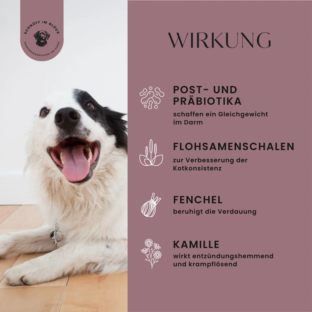 Magen-Darm-Formel Premium- Leckerlis für die Verdauung