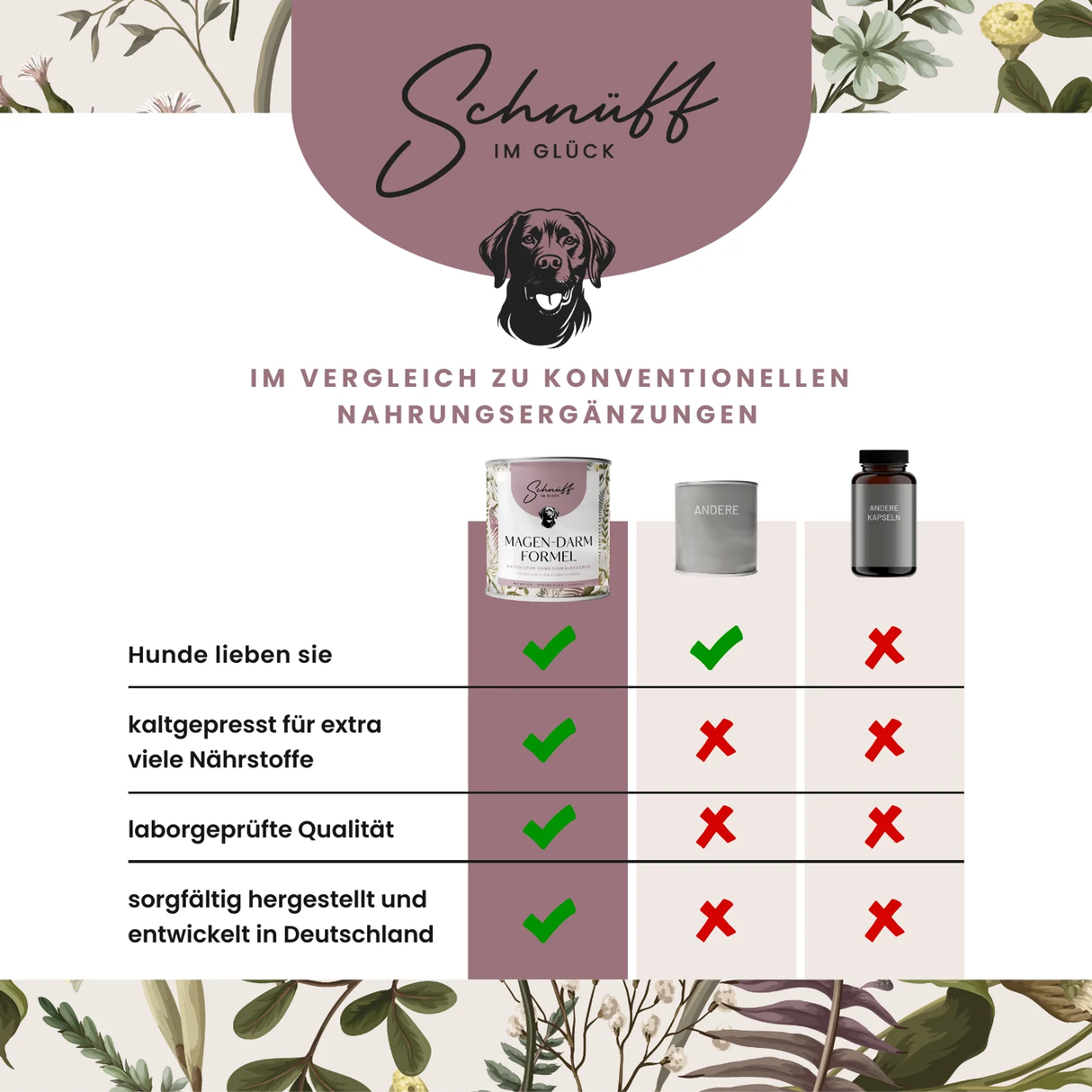 Magen-Darm-Formel Premium- Leckerlis für die Verdauung