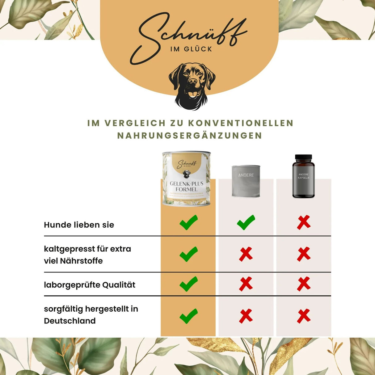 Gelenk-Plus-Formel Premium-Leckerlis für die Gelenke & Knochen