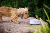 Laboni Napf ROCKY Hundenapf Futternapf für Hund & Katze aus Naturstein