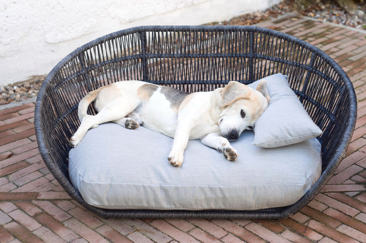 Laboni PRADO Design-Hundebett CHIC
