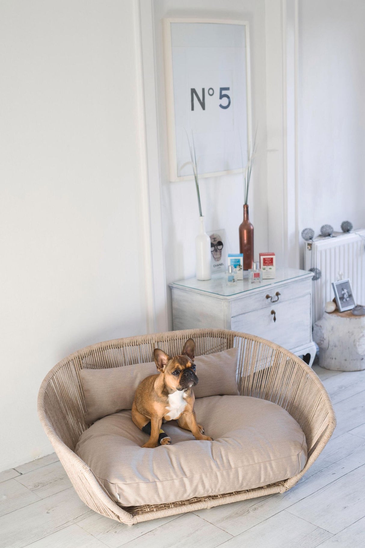 Laboni VOGUE Design-Hundebett SMOOTH