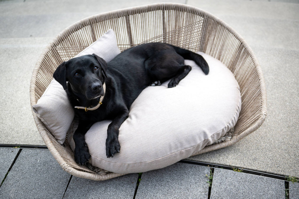 Laboni VOGUE Design-Hundebett SMOOTH