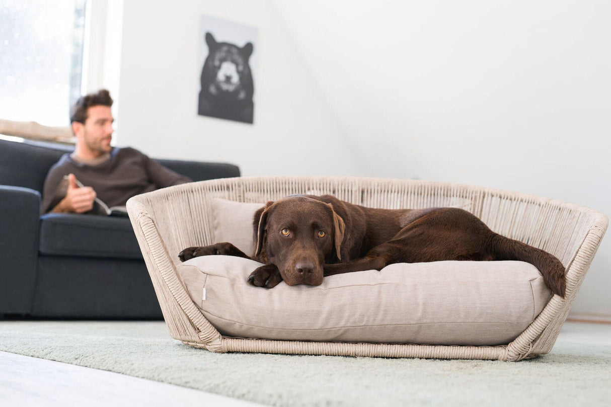 Laboni VOGUE Design-Hundebett SMOOTH
