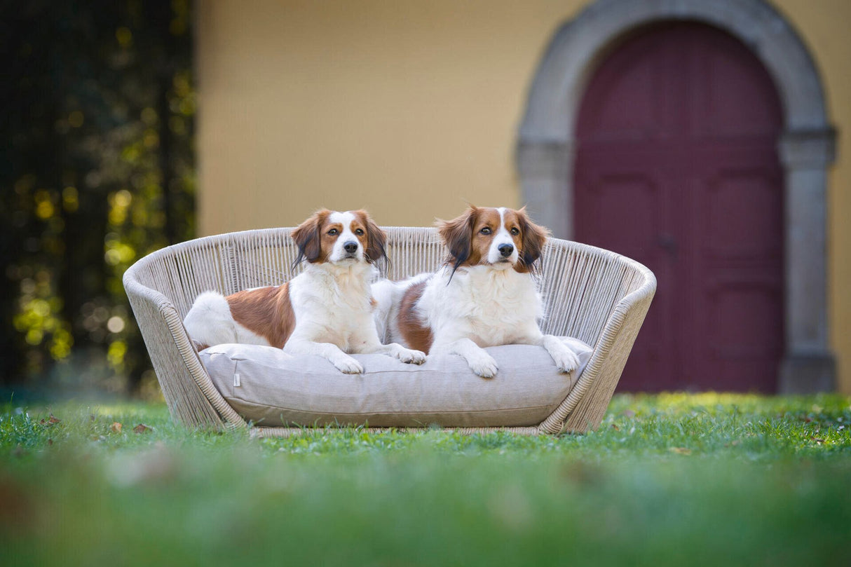 Laboni VOGUE Design-Hundebett SMOOTH