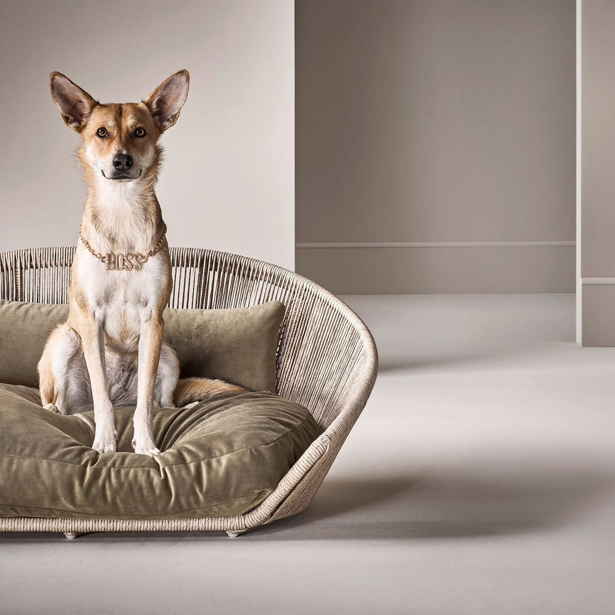 Laboni VOGUE Design-Hundebett OXFORD