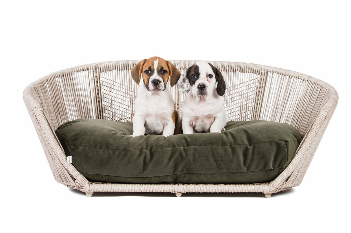 Laboni VOGUE Design-Hundebett OXFORD