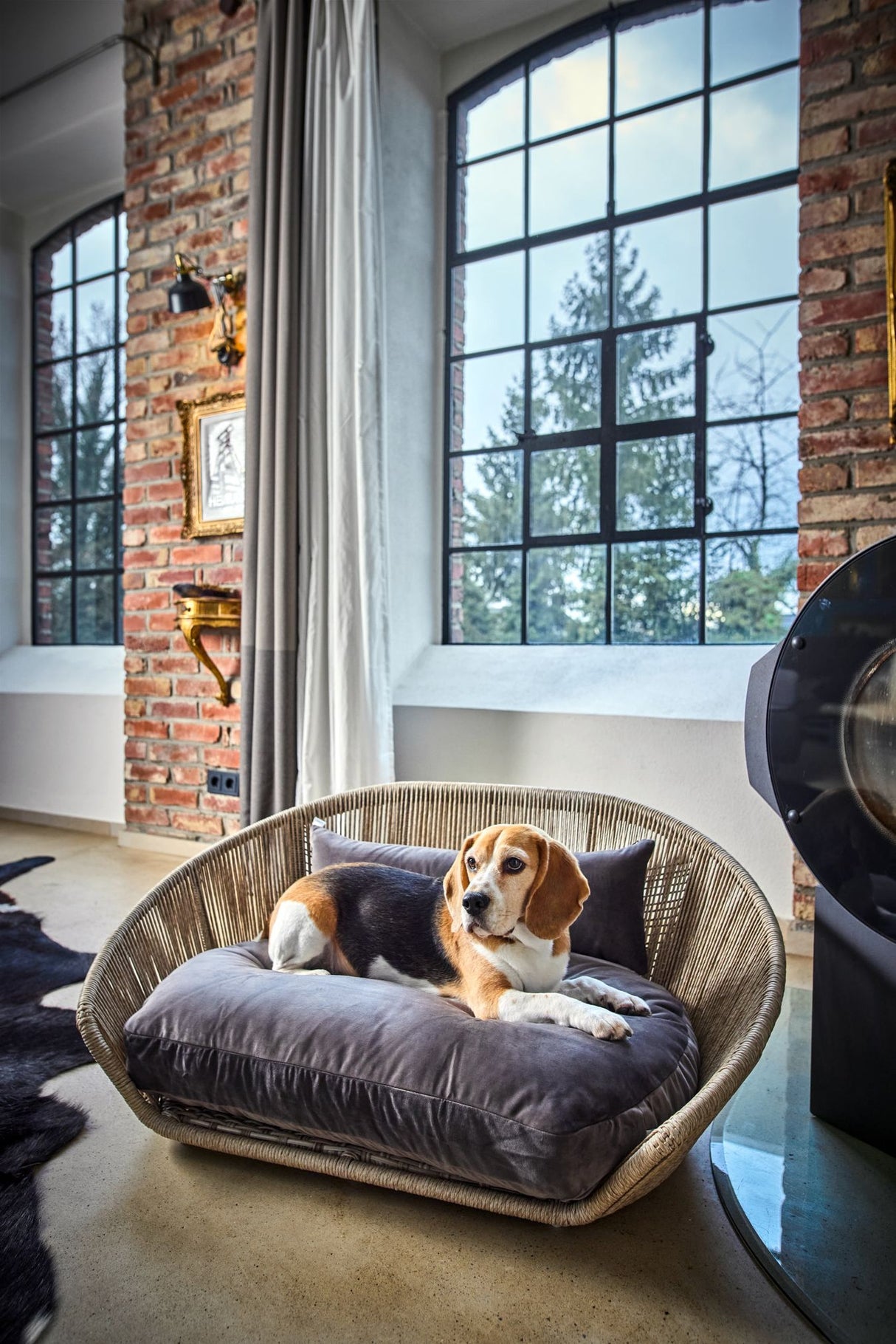 Laboni VOGUE Design-Hundebett OXFORD