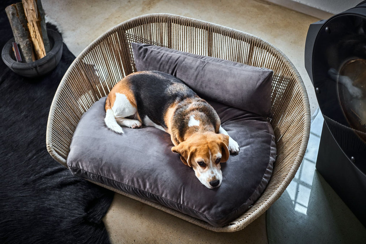 Laboni VOGUE Design-Hundebett OXFORD