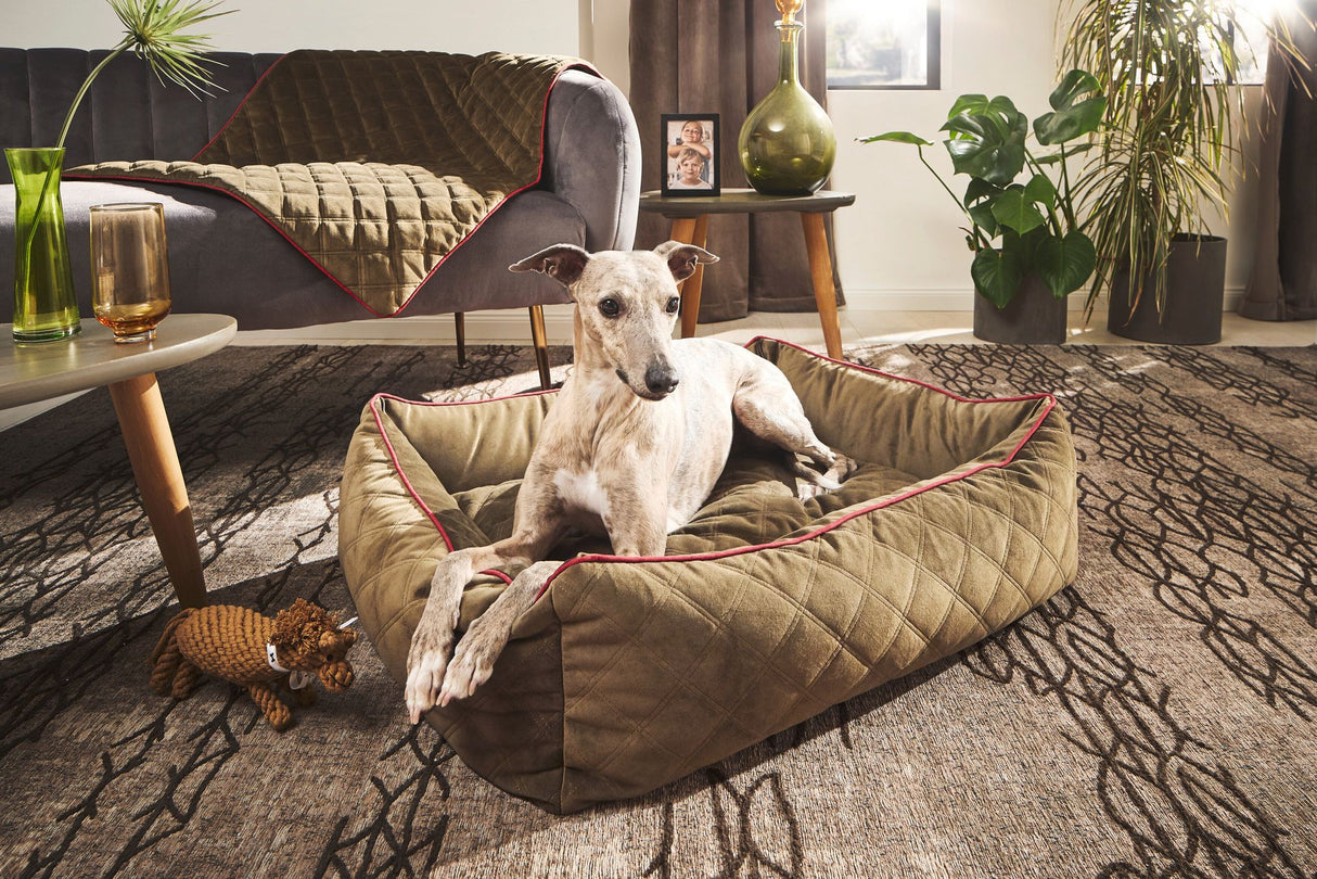 Laboni CLASSIC Hundebett OXFORD edle Steppstoff aus anschmiegsamem Samt