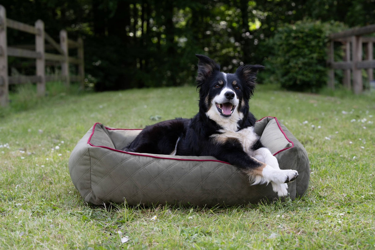 Laboni CLASSIC Hundebett OXFORD edle Steppstoff aus anschmiegsamem Samt